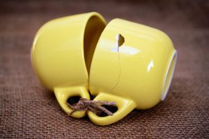 Empatia - Carlo Robusto Psicologo Foggia